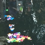 News event mid somerset cnd canlde float picture